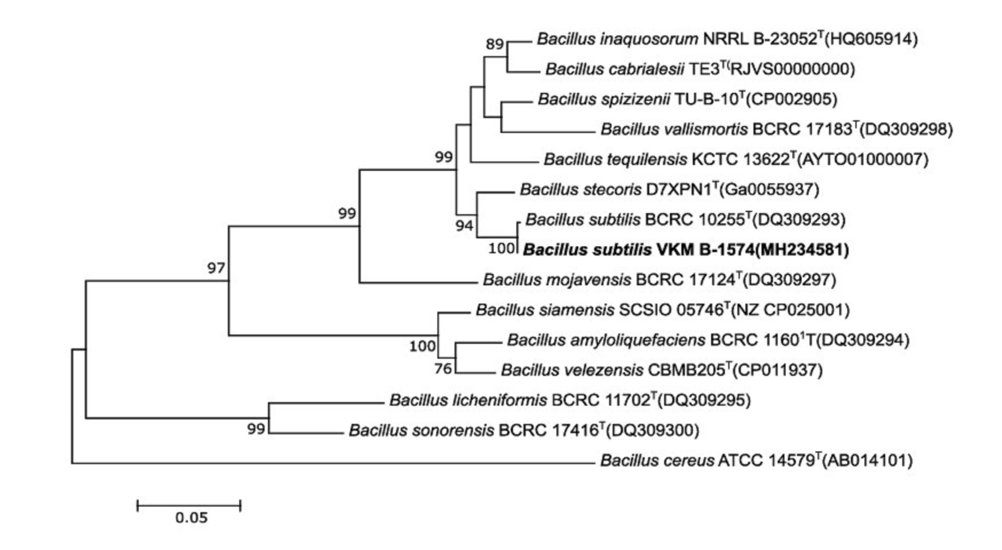 Fig.1
